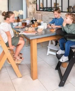 Bebeconfort Timba Kinderstoel - Warm Grey - Groeit Mee Met Je Kind - Verstelbaar - Optimale Veiligheid -Zwitsal - Winkel 550x366 173