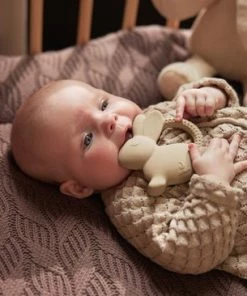 Jollein Bijtring Rubber Whale - Caramel -Zwitsal - Winkel 550x366 185