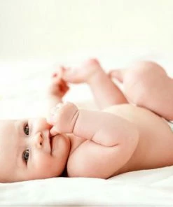 Zwitsal - Winkel -Zwitsal - Winkel 550x367 18