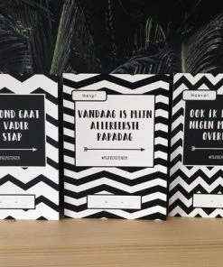 BabyKadoKopen Mijlpaalkaarten Mijn Eerste Keer Als Papa | Speciaal Voor (toekomstige) Vaders | Fotokaarten | Selfie-kaarten Cadeau | Kraamcadeau Vader -Zwitsal - Winkel 550x412 11