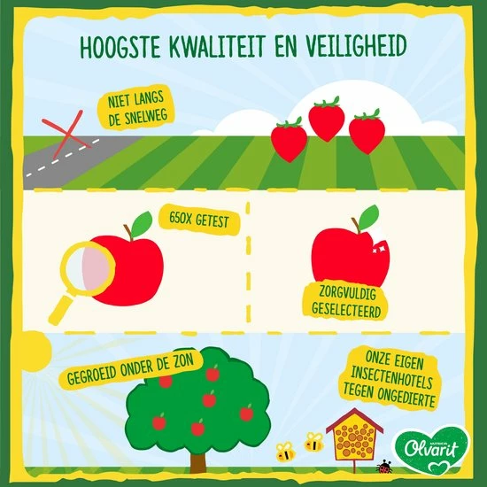 Olvarit Fruithapje 8+ Maanden - Appel Koek - 6 X 200g 3 Olvarit Fruithapje 8+ Maanden - Appel Koek - 6 X 200g - Afbeelding 3