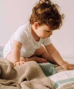 Na?f Na F - Billendoekjes - 1 X 54 - 54 Doekjes - Plastic Vrije & Biologisch -Zwitsal - Winkel 550x550 1073