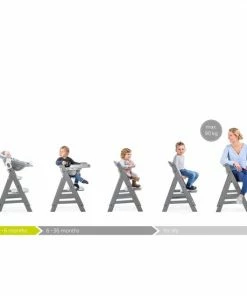 Hauck Alpha+ Kinderstoel - Walnoot -Zwitsal - Winkel 550x550 1136