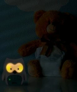 Alecto DBX-84 - DECT Babyfoon Uil - Nachtlampje - Wit/Mint -Zwitsal - Winkel 550x550 237