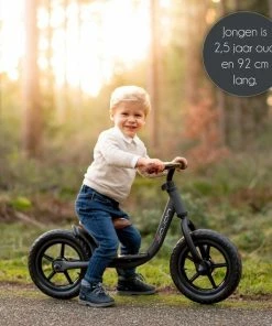 Sajan Loopfiets - Jongens En Meisjes - 2 Jaar - Buitenpeelgoed - Mat-Roze -Zwitsal - Winkel 550x550 398