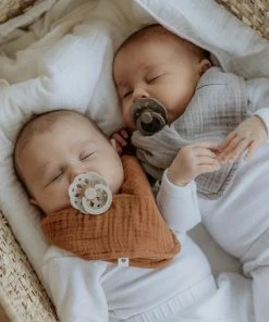 BiBS - Boheme Pacifier - Stage 2 Fopspeen - 2 Stuks - Blossom / Dusky Lilac -Zwitsal - Winkel 550x550 662